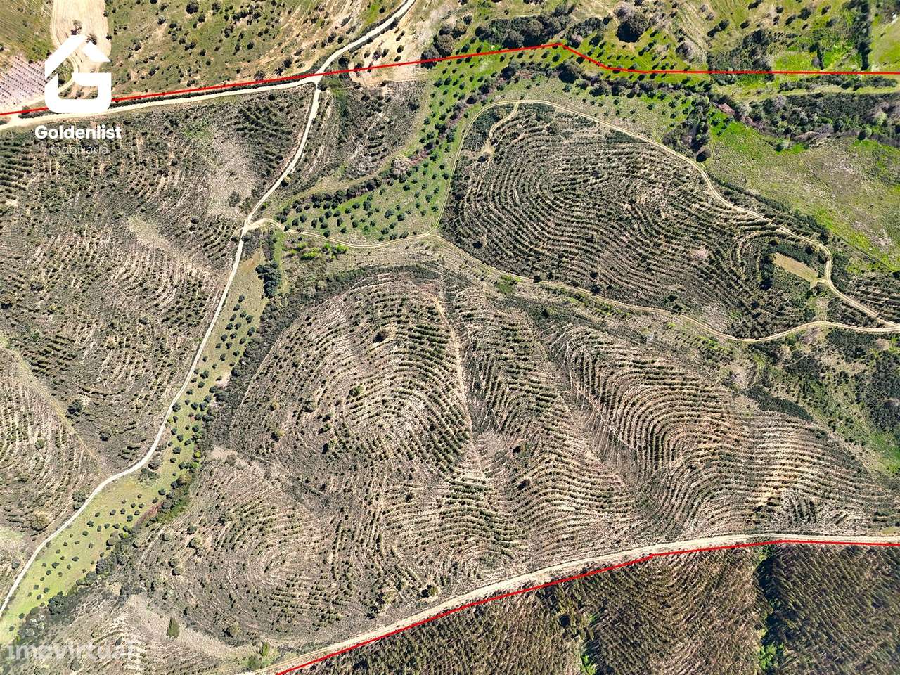 Herdade  Venda em Penamacor,Penamacor-12