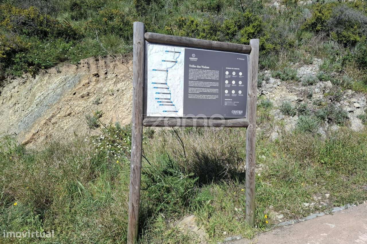 Oportunidade Única – Propriedade Mista em Cascais - Grande imagem: 3/53