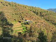 Terreno No Poio Da Quebrada Em Monchique - Miniatura: 12/14