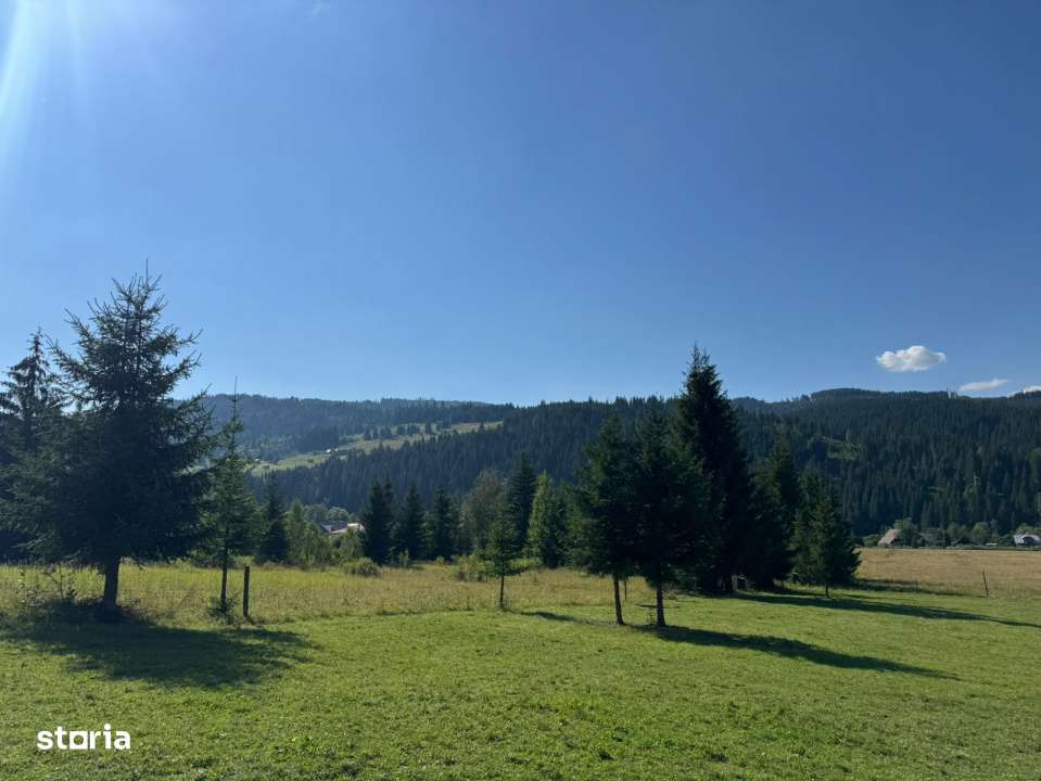 Vanzare 33400 parcelat- 18 loturi - Plaiul Sarului la sosea- microdezv-10