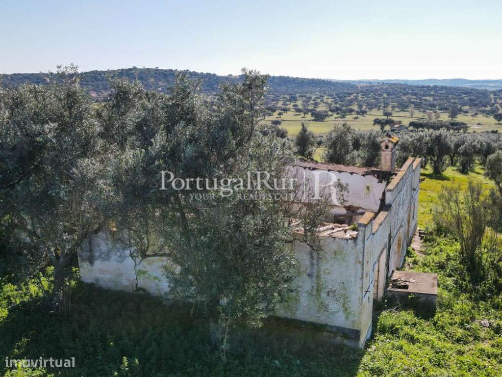 Herdade de 18 hectares perto de Estremoz-32
