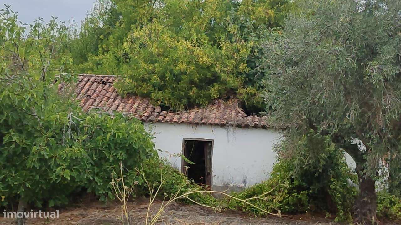 Casa de Campo em São Vicente do Paul, Santarém - Oportunidade Única-26