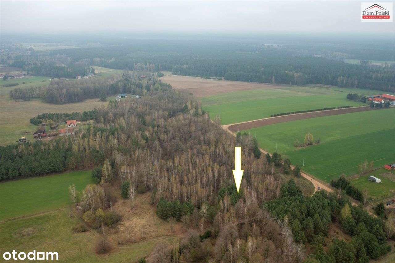 Działka w Piasutnie idealna pod Agroturystykę-2