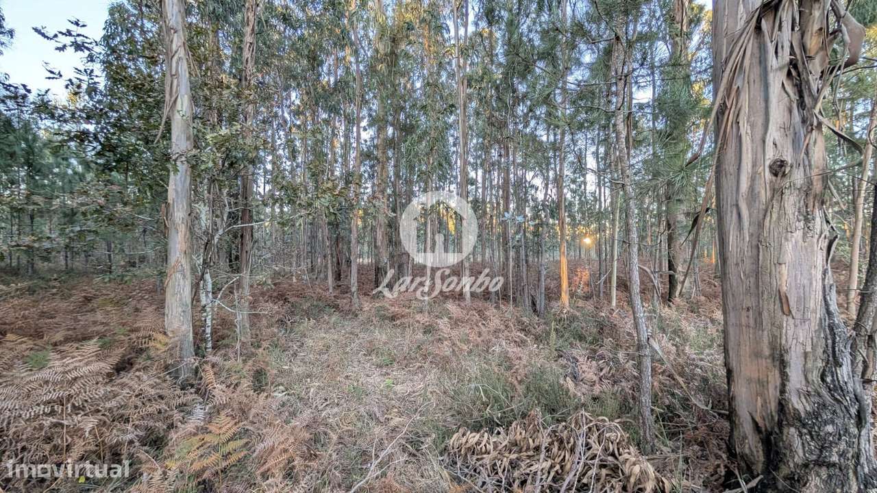 Terreno industrial com 4.177m2 em Laúndos - Grande imagem: 3/6