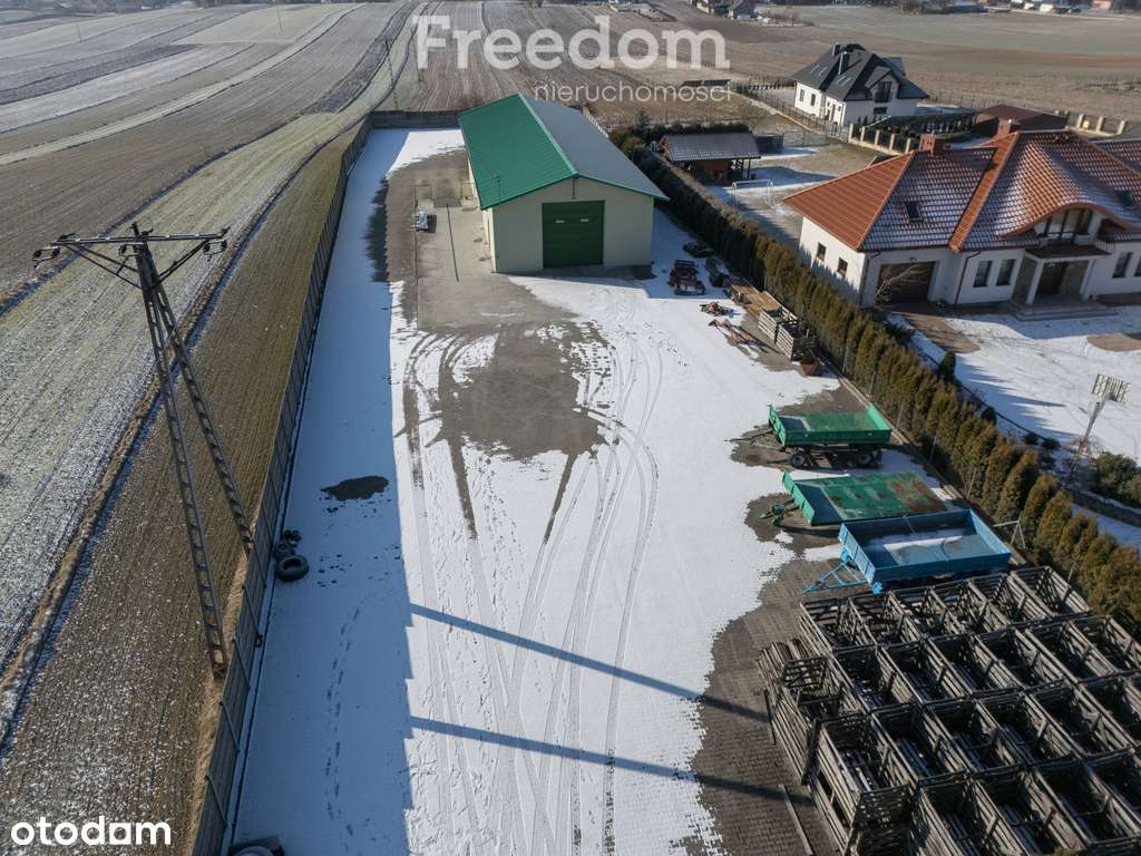 Hala magazynowa z rampą i placem - Miechów - Pełny obrazek: 5/8