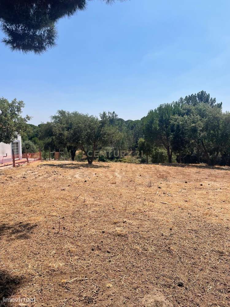 Terreno rústico com 3125m2 e localizado em Vale do Carvoeiro, Lavre - - Grande imagem: 5/17