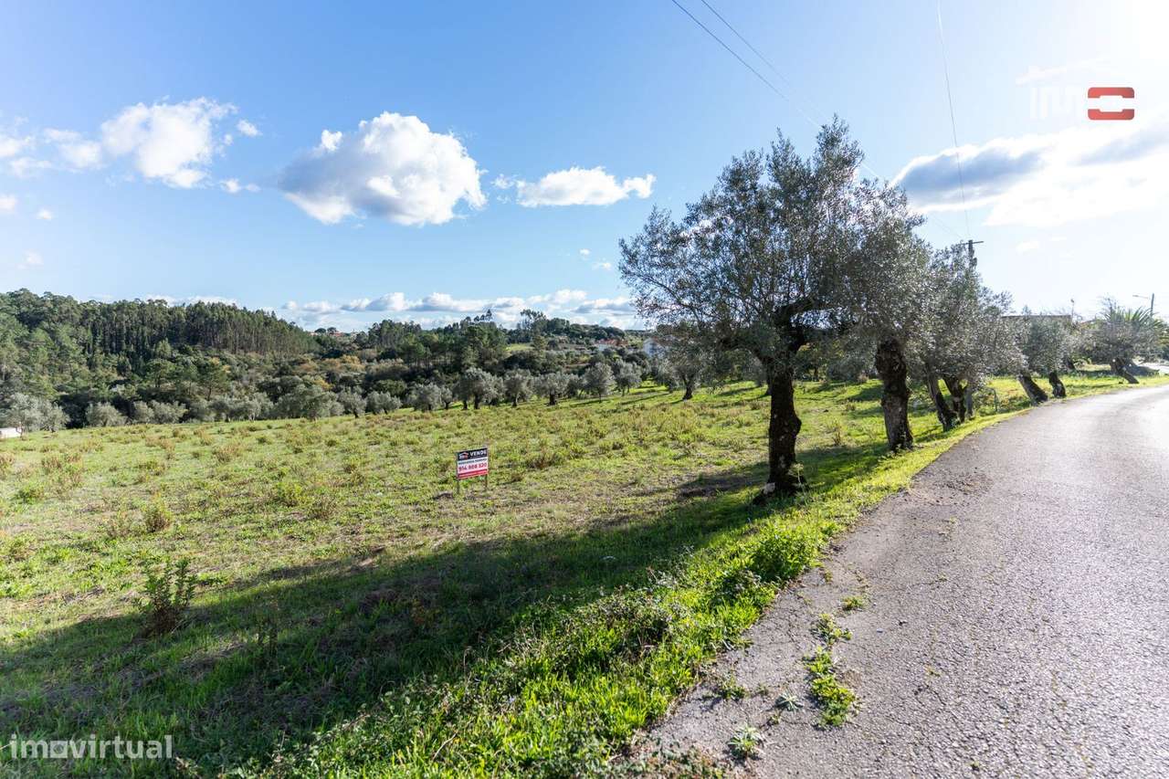 TERRENO COM 6.316,50 M2 SITUADO EM ATOUGUIA NUMA ZONA HABITACIONAL ... - Grande imagem: 2/14