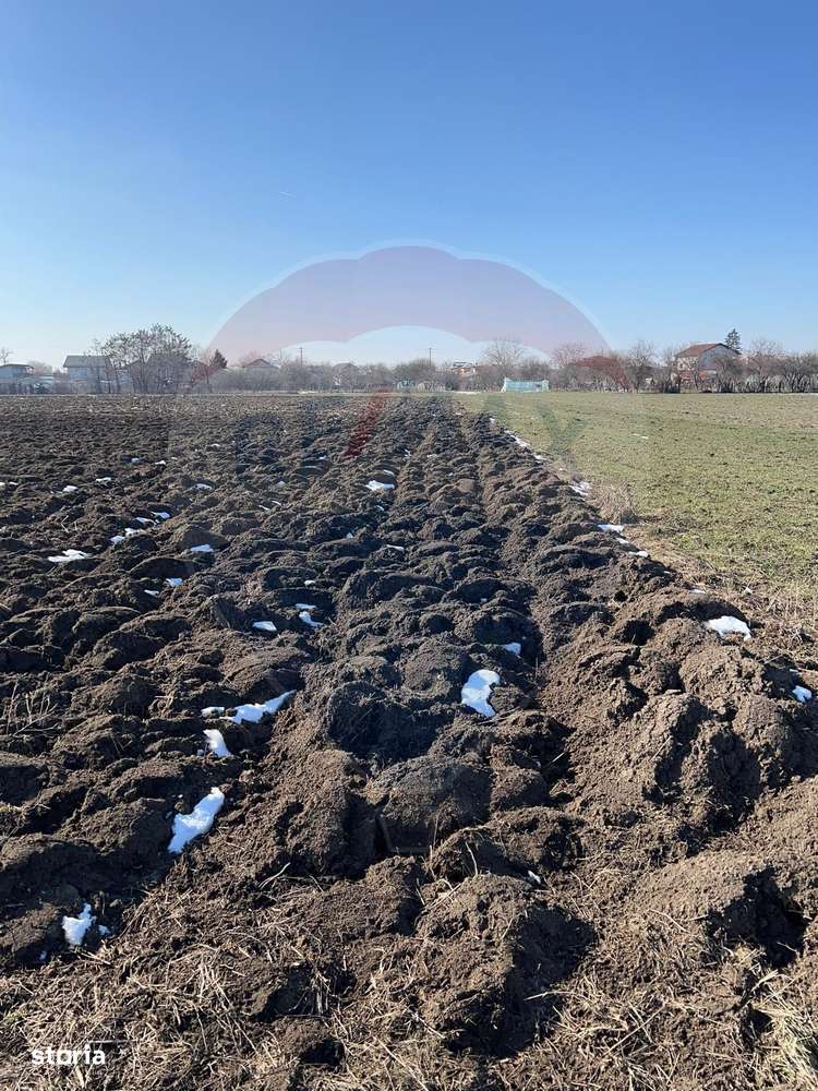 Teren intravilan de vanzare 4,445 mp Km 30-A1/ Icoana / Ulmi - Imagine principală: 5/5