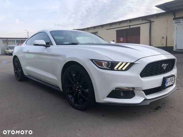 Ford Mustang 2.3 EcoBoost - 2