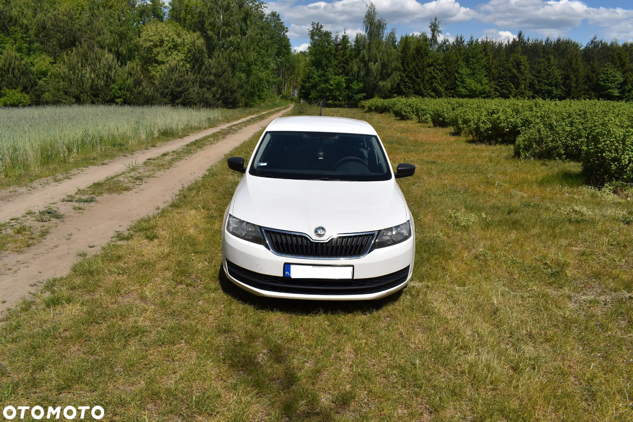 Skoda RAPID 1.2 Active - 2