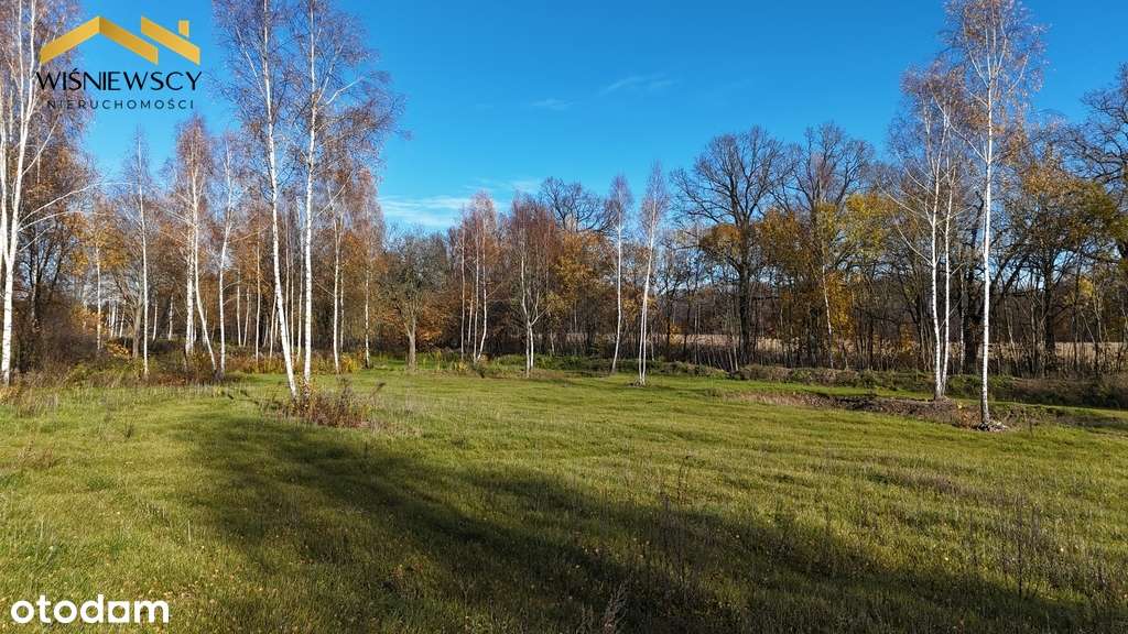 Dawidy: działka z WZ, 3001 m² - Pełny obrazek: 5/18