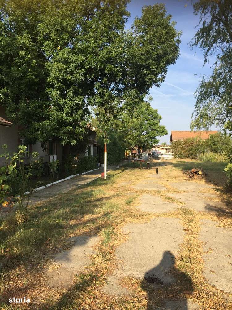 De Vanzare – Ferma de Pomi Fructiferi, 48,8 ha, Iancu Jianu, Jud. Olt - Imagine principală: 3/20