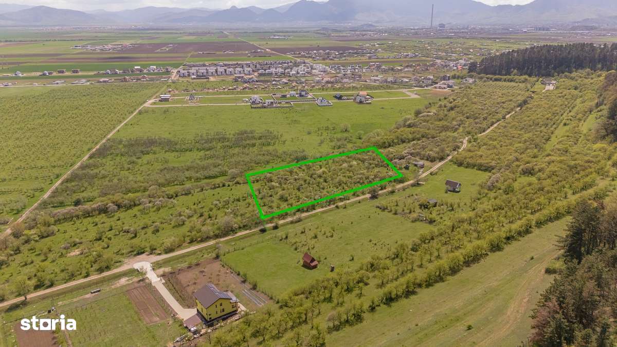 Teren vânzare 2717 mp/Sanpetru lângă dealul Lempes - Imagine principală: 1/8