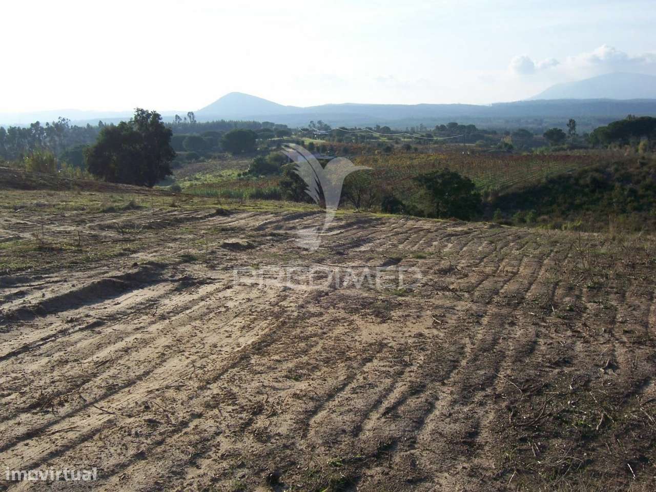 TERRENO AVEIRAS DE CIMA - 30 MINUTOS DE LISBOA - Grande imagem: 3/7