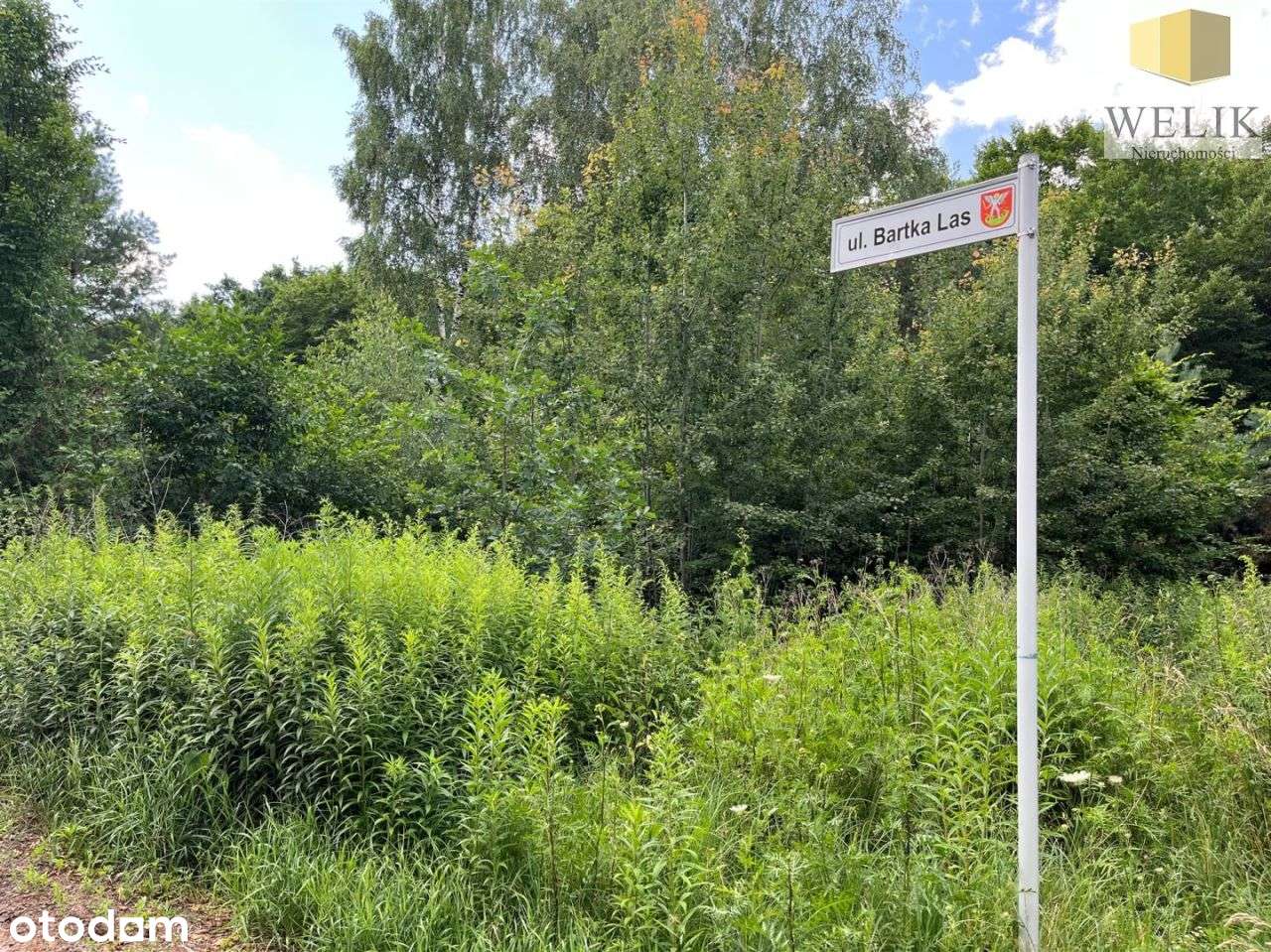 Działka przy Bartka Las-1