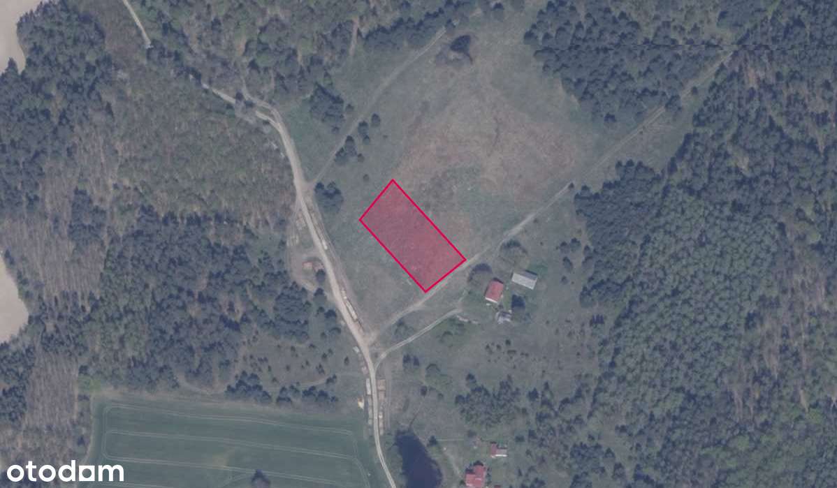 Działka 77/2 w miejscowości Błotnia - Pełny obrazek: 2/2