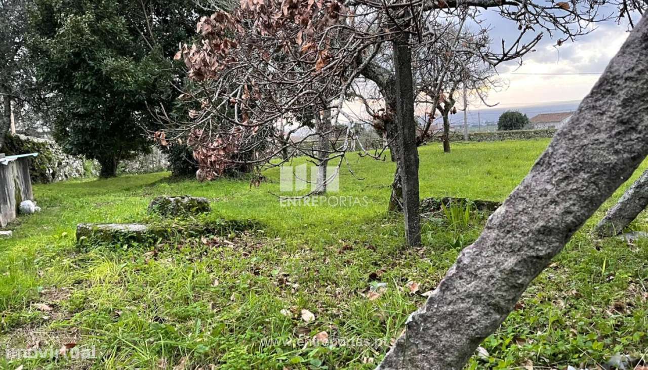 Venda de terreno para construção com 3788m², Areosa, Viana do Caste - Grande imagem: 4/30