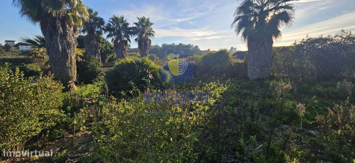 Moradia T3 Cartaxo - Grande imagem: 4/51