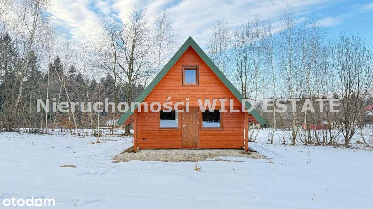 Działka, 11 163 m², Olszanica-0