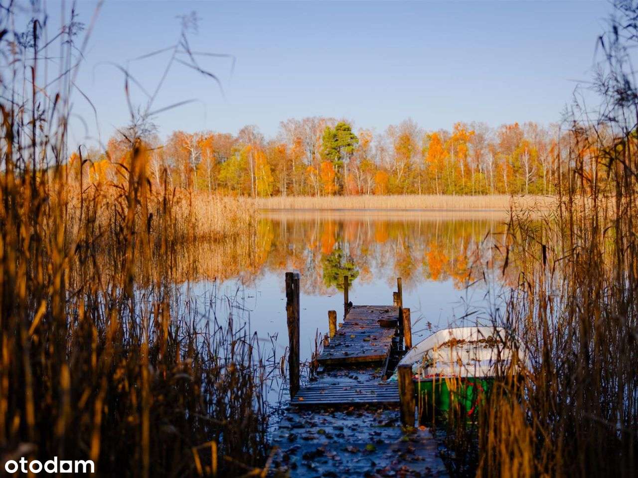 Działka siedliskowa - Krągi-11