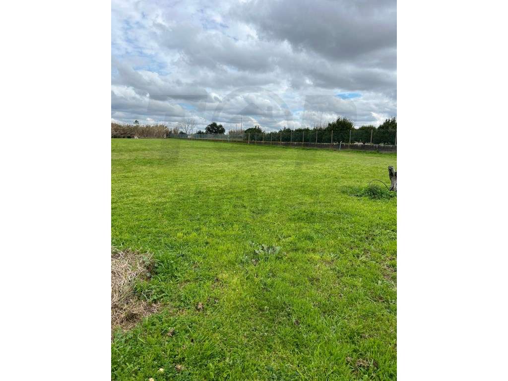 Terreno Urbanizável - Foros de Salvaterra - 100.000€ - Grande imagem: 2/5