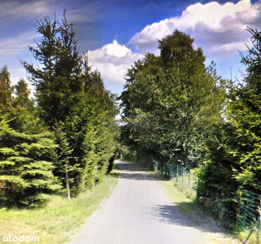 Działka budowlana o pow. 5000 m2/warunki zabudowy! - Pełny obrazek: 3/7