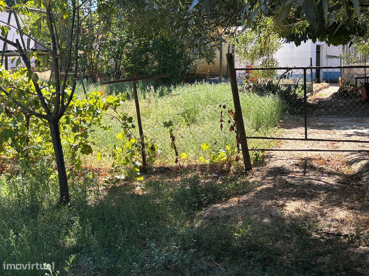 Quintinha com Moradia T2 + Armazém | 2ha vedados | Rio | Fruteiras | A-36