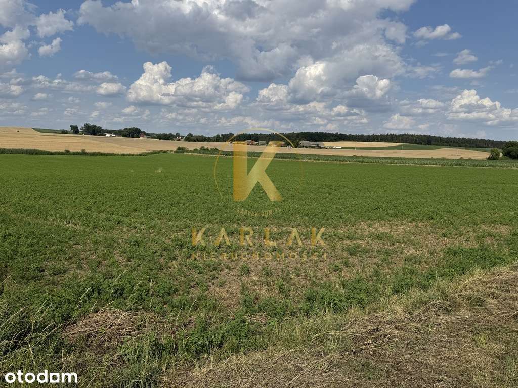 Działka w Lubiatowie (droga na Kotowo) Nowa Cena-4