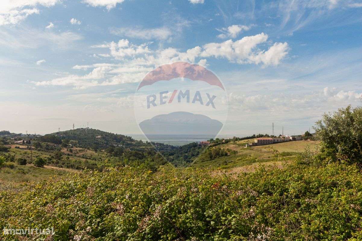 Terreno T0 para venda - Grande imagem: 5/10