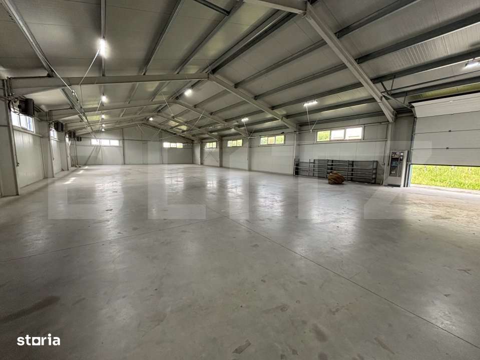 Hale de inchiriat - Imagine principală: 3/6