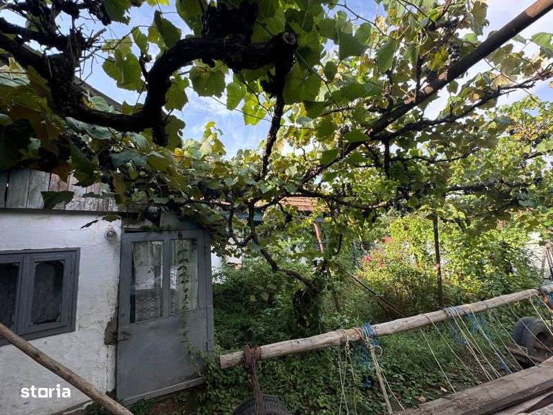 Casa batraneasca de vanzare - Imagine principală: 4/4