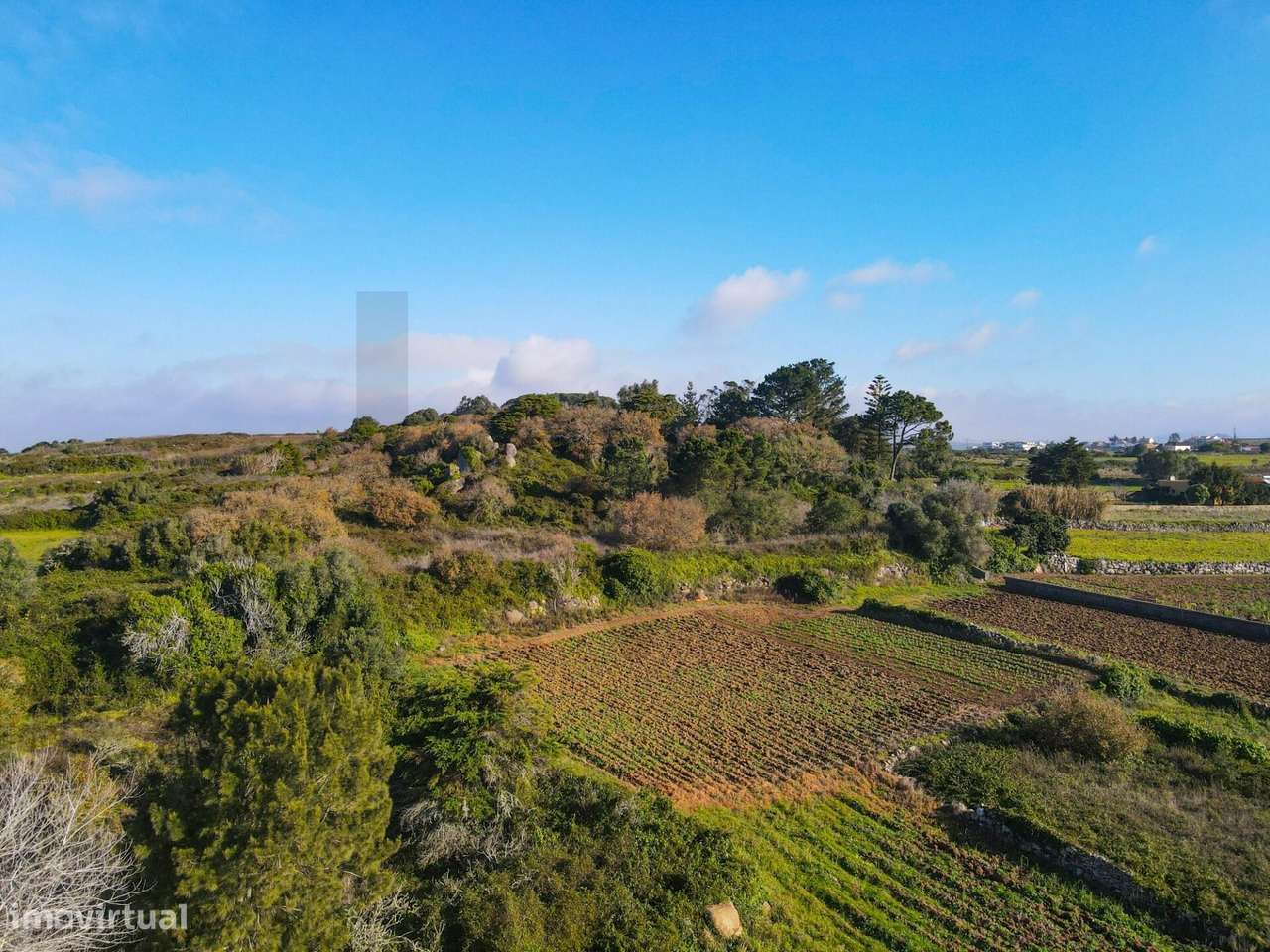 Terreno em Vinha De Chão Rijo - Grande imagem: 2/15