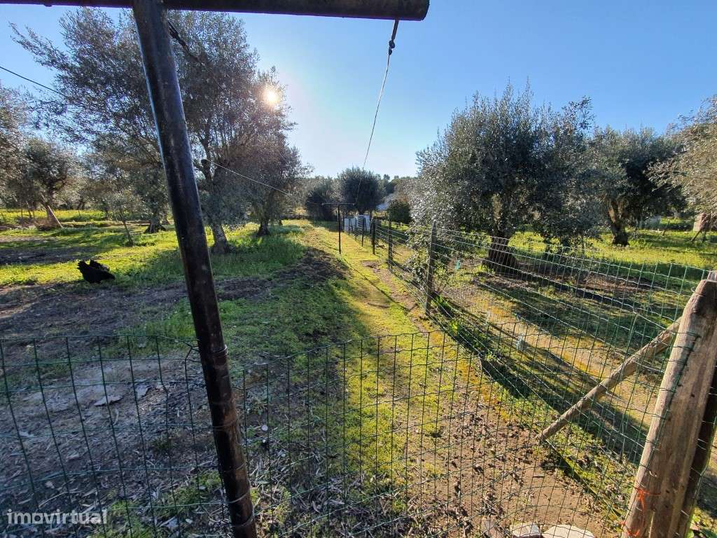 Monte Alentejano T2 com Anexo, perto de Évora monte. - Grande imagem: 4/32