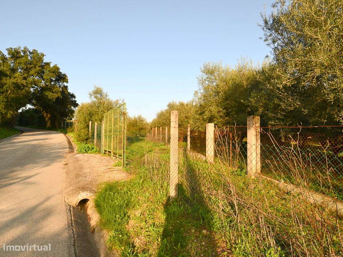 Terreno com 26.720m2 com Vista para o Rio Tejo - Grande imagem: 2/9