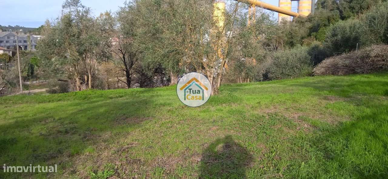 Terreno Rústico em Souselas com 1.813,50 m2 - Grande imagem: 5/16