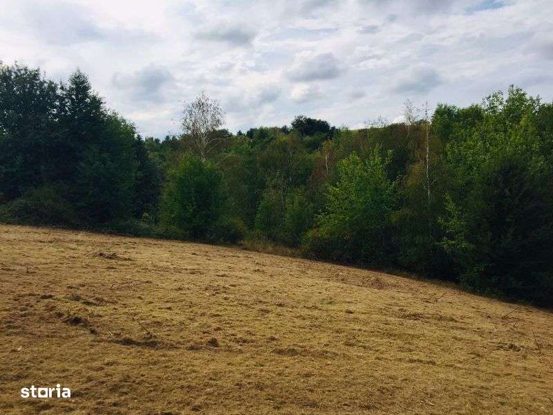 Vand Teren in Sinteu - Imagine principală: 5/5