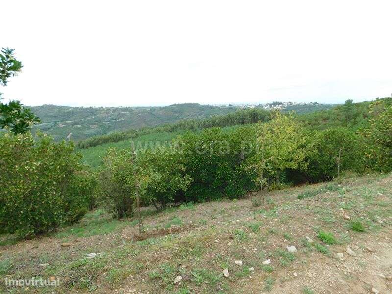 Quintinha / Seia, Sandomil - Grande imagem: 4/20