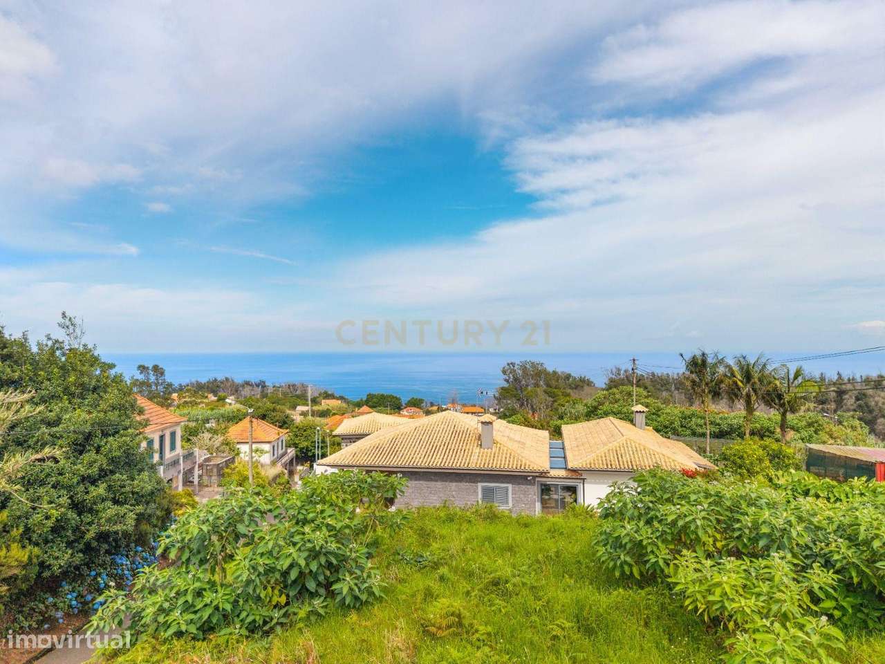 Terreno Plano com Vistas Mar e Natureza Envolvente - Porto Moniz-2