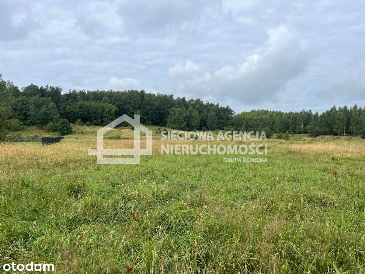Sitno, działka w odległości 200 m od jeziora. - Pełny obrazek: 4/5