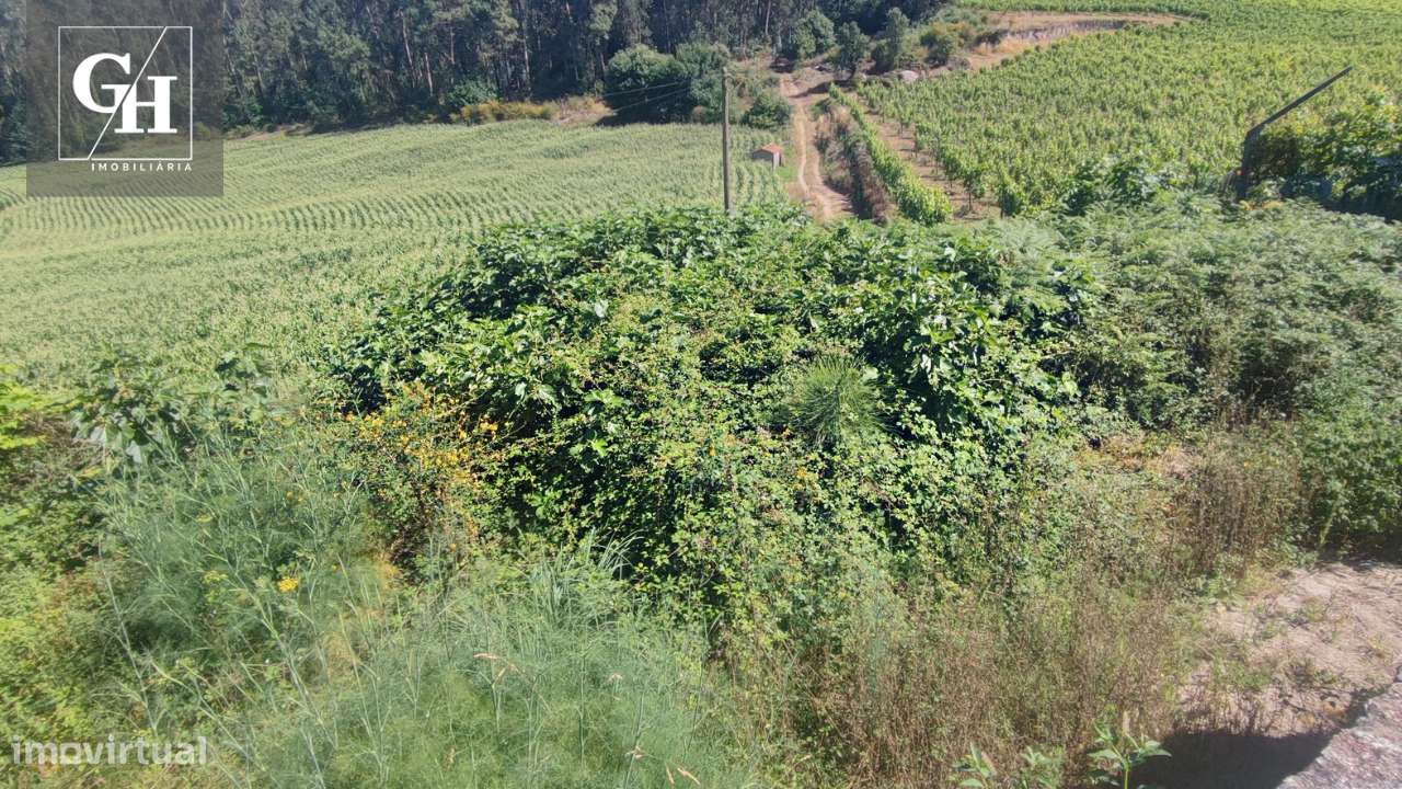 Terreno em Brufe-11