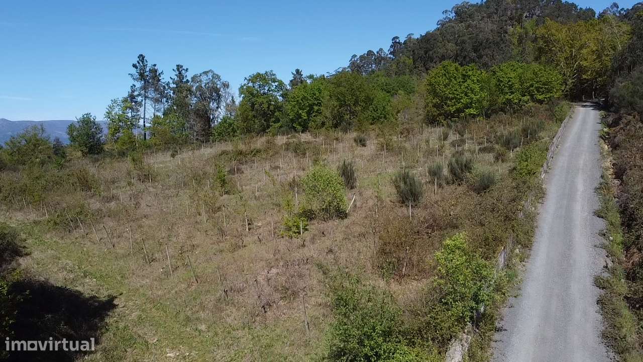 Terreno – Vouzela-16