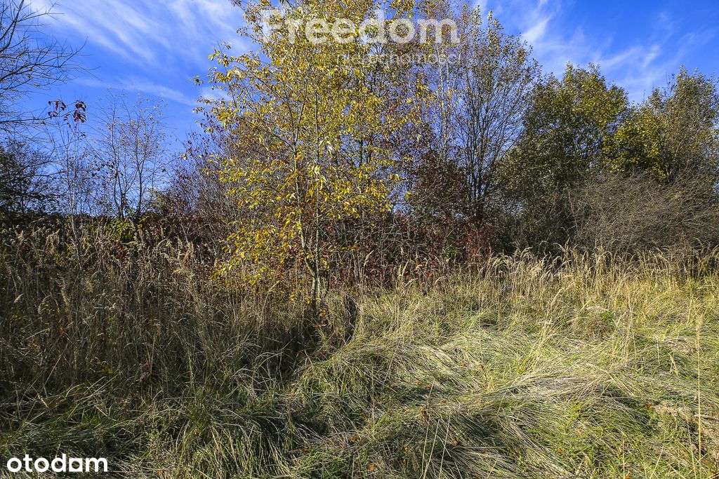 Działka z lasem i widokem_24 a - Pełny obrazek: 5/11