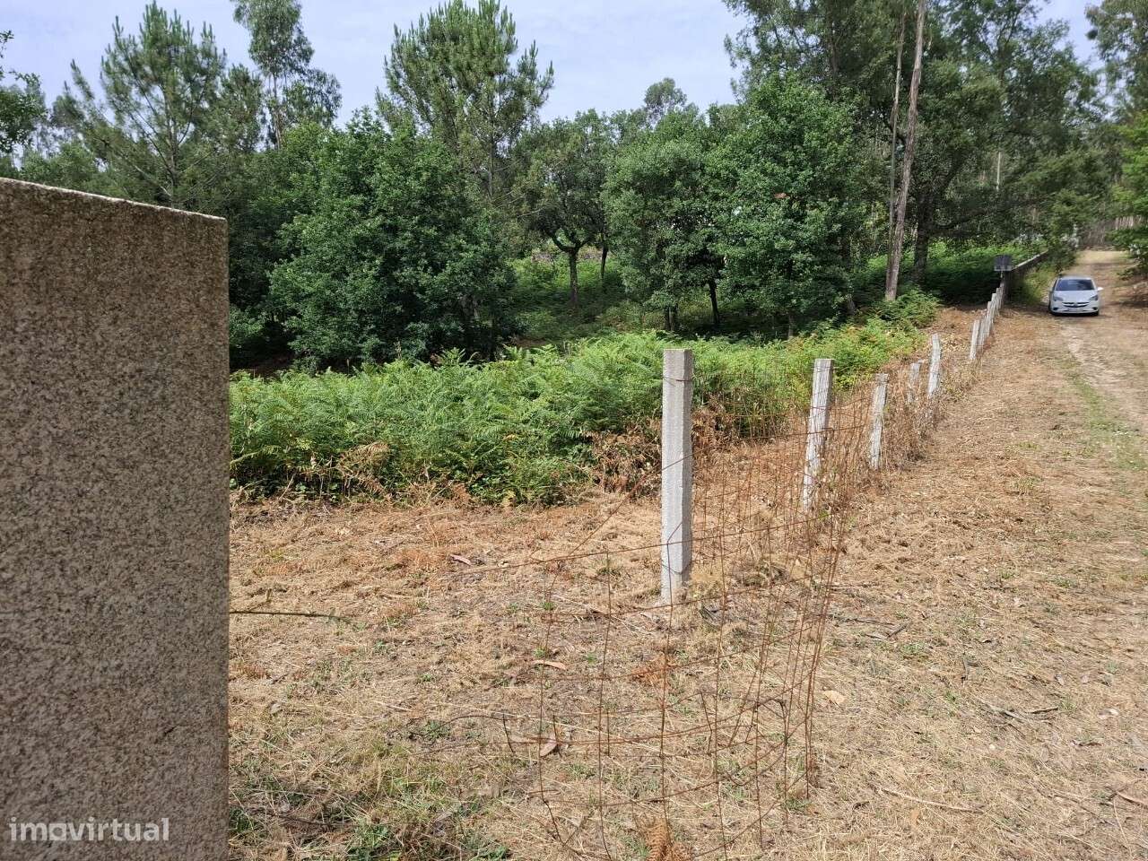 Terreno c/ projeto - Vale de Cambra-10