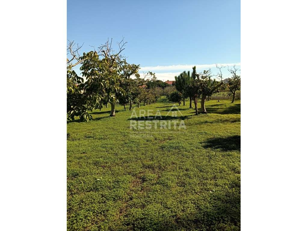 Quinta com a área de 8.750m2 - Zambujal - Grande imagem: 4/11