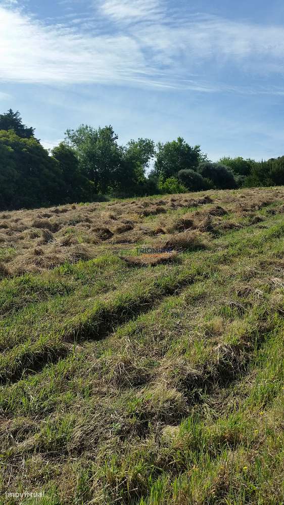 Terreno 11.640 m² Colares - Sintra - Grande imagem: 3/6