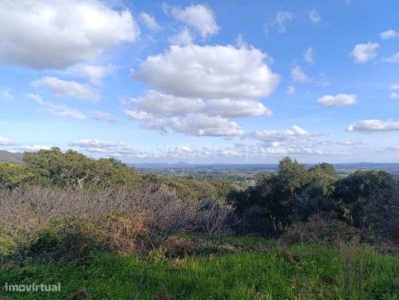Quinta / Fundão, Vale Prazeres - Grande imagem: 5/20