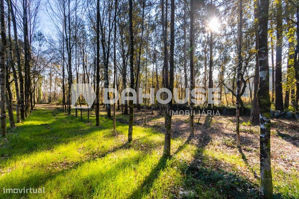 Venda Terreno - Grande imagem: 5/8