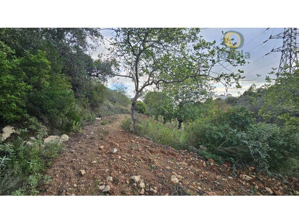 Terreno Rústico em Estoi com Poço-12