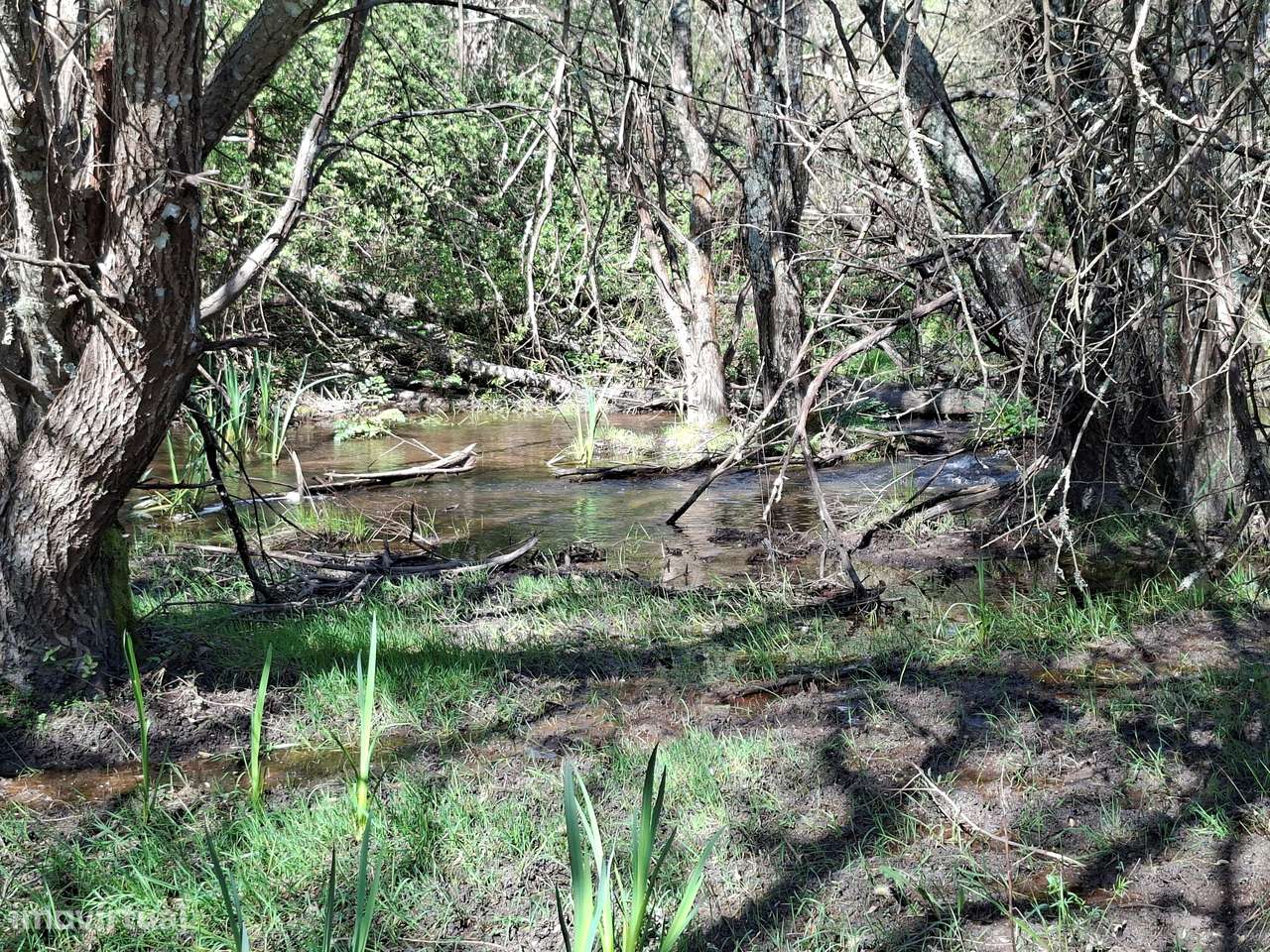 Quinta T5 Venda em Comenda,Gavião-19