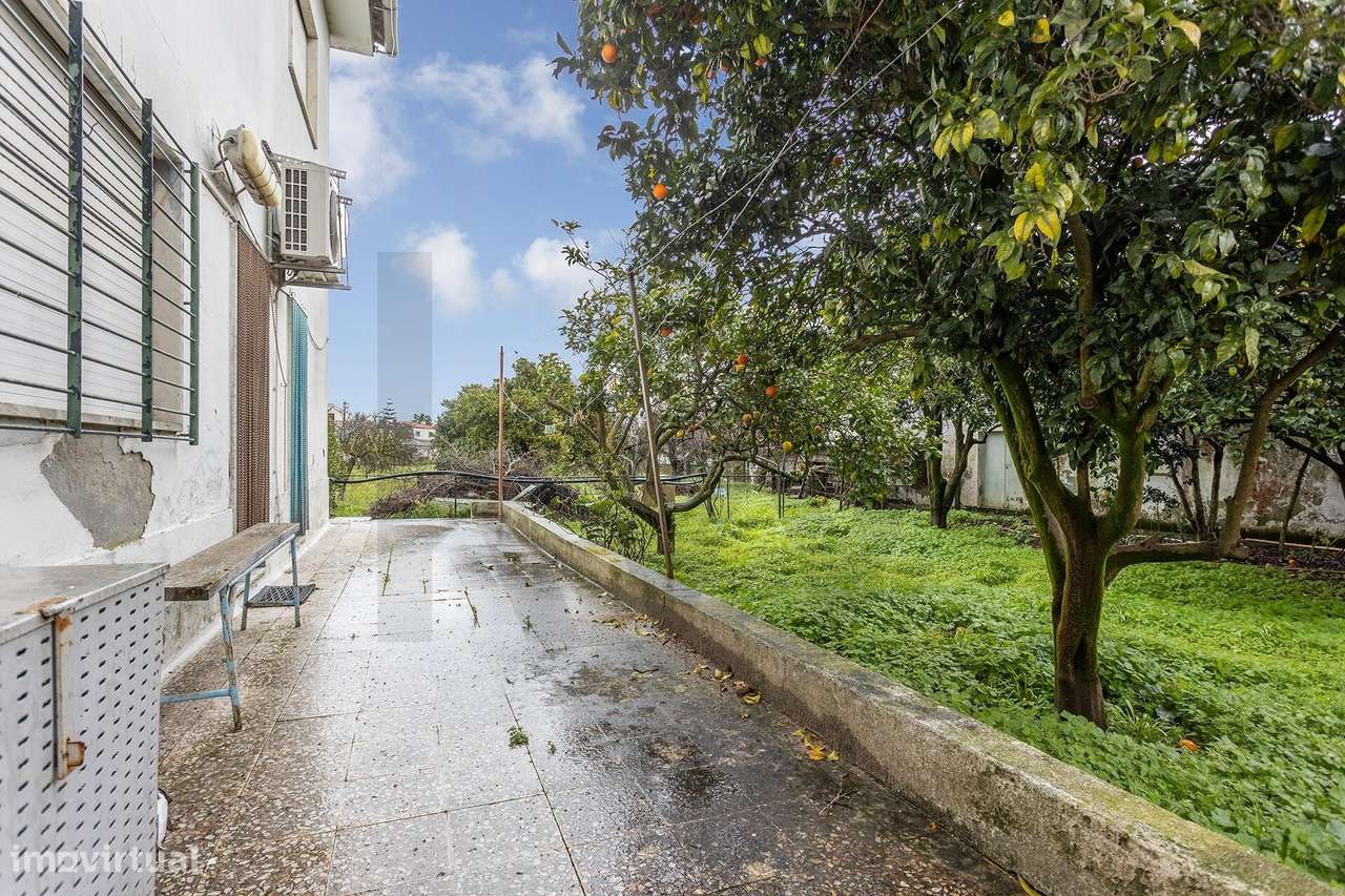 Quintinha com 2.000 m2 | Penteado, Moita - Grande imagem: 5/26